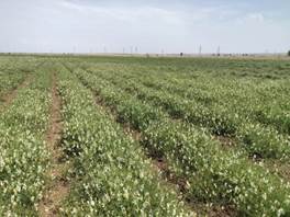 6210d08bcd389a6b8bff387cd018532