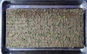 93e05336fae46cdc48d1b66fc510957